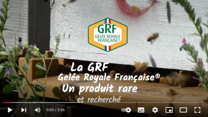 Charger la vidéo : La gelée royale française GRF® un produit rare et recherché