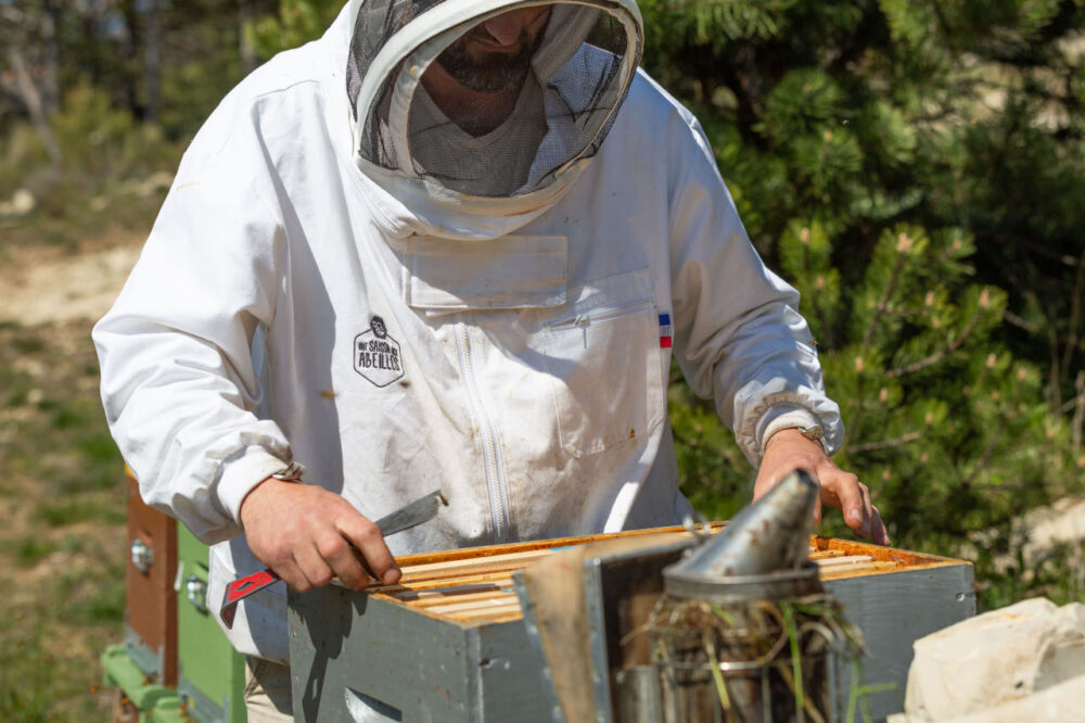 Morgan Bertin au travail sur ses ruches