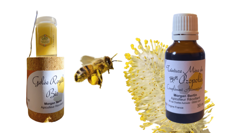 gelée royale pollen et teinture mère de propolis
